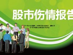 2015年股市伤情报告18页.ppt