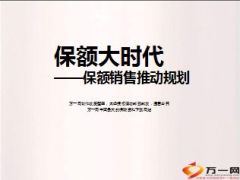 保额销售推动规划保额大时代47页.ppt
