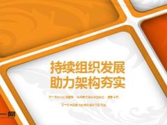 分享持续组织发展助力架构夯实17页.ppt