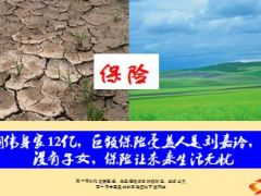 梁朝伟身家12亿巨额保险受益人是刘嘉玲14页.ppt