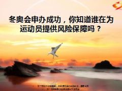 冬奥会申办成功谁在为运动员提供风险保障吗13页.ppt