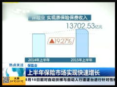 视频2015上半年保险市场实现快速增长.rar