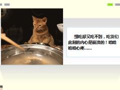 每日快乐早会15年8月4日使用15页.ppt