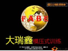 中国人寿大瑞鑫模压式训练40页.ppt