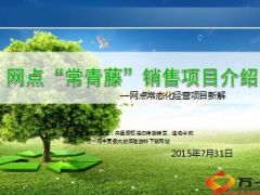 银行保险渠道网点常青藤金字塔模式销售项目介绍49页.ppt