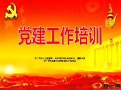 保险公司党支部书记培训课件45页.ppt