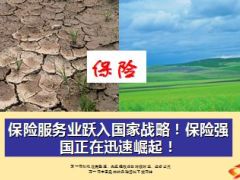 保险服务业跃入国家战略保险强国正在迅速崛起10页.ppt