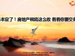 基本定了房地产税将这么收11页.ppt