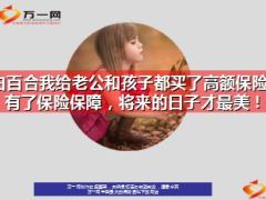 白百合给老公羽泉和孩子都买了高额保险16页.ppt