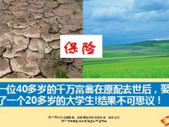 千万富翁通过妻子的保险资产保全东山再起16页.ppt