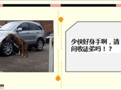 每日快乐早会15年8月12日使用15页.ppt