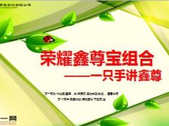 国寿荣耀鑫尊宝专题一只手讲鑫尊16页.ppt