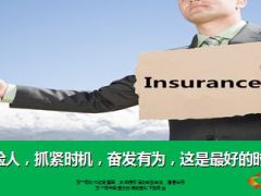 2015年是中国保险业发展创业黄金年11页.ppt