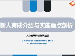 个险新人育成介绍与实施要点剖析58页.ppt