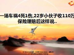 一场车祸4死1伤22岁小伙子收110万15页.ppt