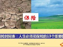 买保险时间表人生买保险的13个重要时刻13页.ppt