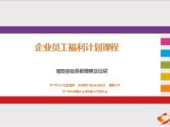国寿团险常用保险条款摘要及比较含备注18页.ppt