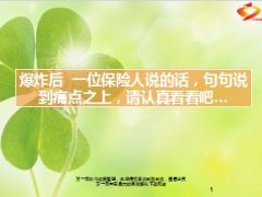 爆炸后保险人给您的忠告13页.ppt