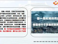 灾难背后若干个家庭支离破碎意外风险的4件事16页.ppt