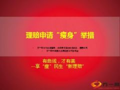 简化瘦身理赔申请举措民生版11页.ppt