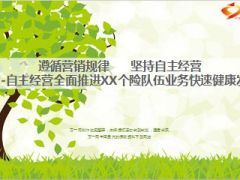 2015年个险自主经营数据问题剖析举措工作汇报30页.ppt