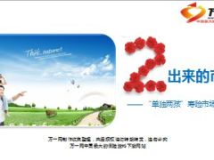 单独两孩政策下寿险挑战机遇主顾开拓方向优势20页.ppt