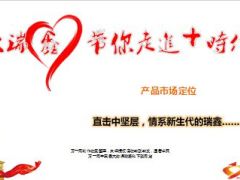 中国人寿大瑞鑫产品市场定位10页.ppt
