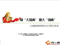 国寿大瑞鑫销售策略研讨发布11页.ppt