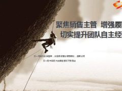 2015分公司上半年工作汇报市场分析自主经营举措12页.ppt