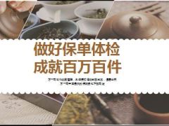 保险精英分享保单体检成就百万含案例工具17页.ppt
