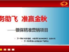 银保精准营销定位有价客户活动方案支持含话术25页.ppt