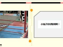 每日快乐早会15年8月24日使用15页.ppt