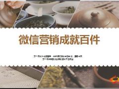 保险精英分享微信营销加保转介绍成就百件28页.ppt