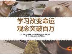 保险精英分享学习改变观念破百万21页.ppt