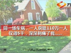 同一场车祸一人获赔110万一人仅得5千12页..ppt