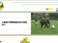 每日快乐早会15年8月25日使用15页.ppt