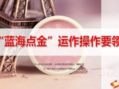 银保产说会蓝海点金运作操作要领21页.ppt