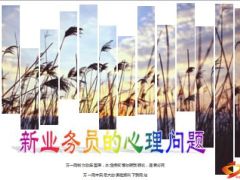 如何解决新业务员的十大心理问题24页.ppt