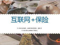 互联网加保险的优势起源现状机遇18页.ppt