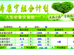 国寿康宁组合自动计划书王芳泽版本.xls