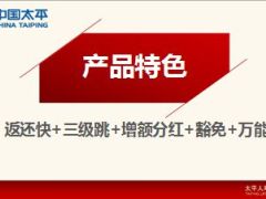 太平盛世连年终身年金保险产品培训课件37页.ppt