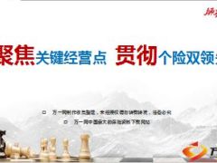 分公司个险经营双领先对标篇布局篇实践篇40页.ppt