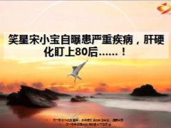 笑星宋小宝自曝患严重疾病肝硬化盯上80后8页.ppt