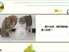 每日快乐早会15年8月28日使用15页.ppt