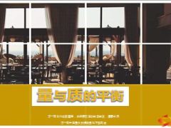 人力发展简析量与质的平衡29页.ppt