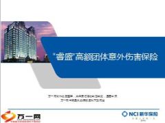 新华睿盛高额团体意外伤害保险介绍6页.ppt