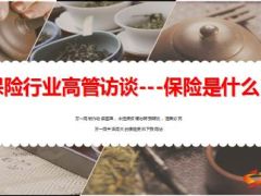 保险行业高管谈保险是什么41页.ppt