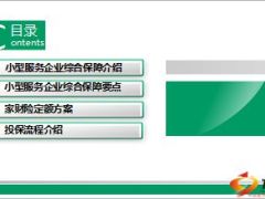 小型服务企业综合保障和家财险方案宣导23页.ppt