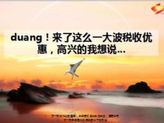 商业保险税收优惠政策16页.ppt