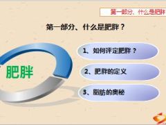 肥胖基础专业知识类型危害22页.ppt
